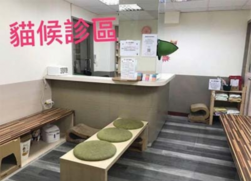 本院獲得國際貓科醫學會(ISFM)認證貓友善動物醫院