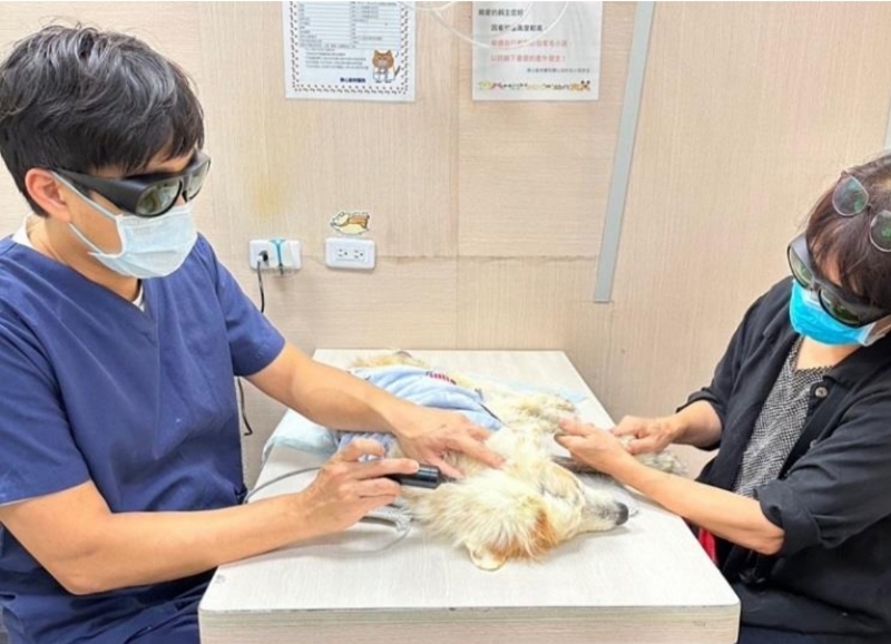 退化性關節炎