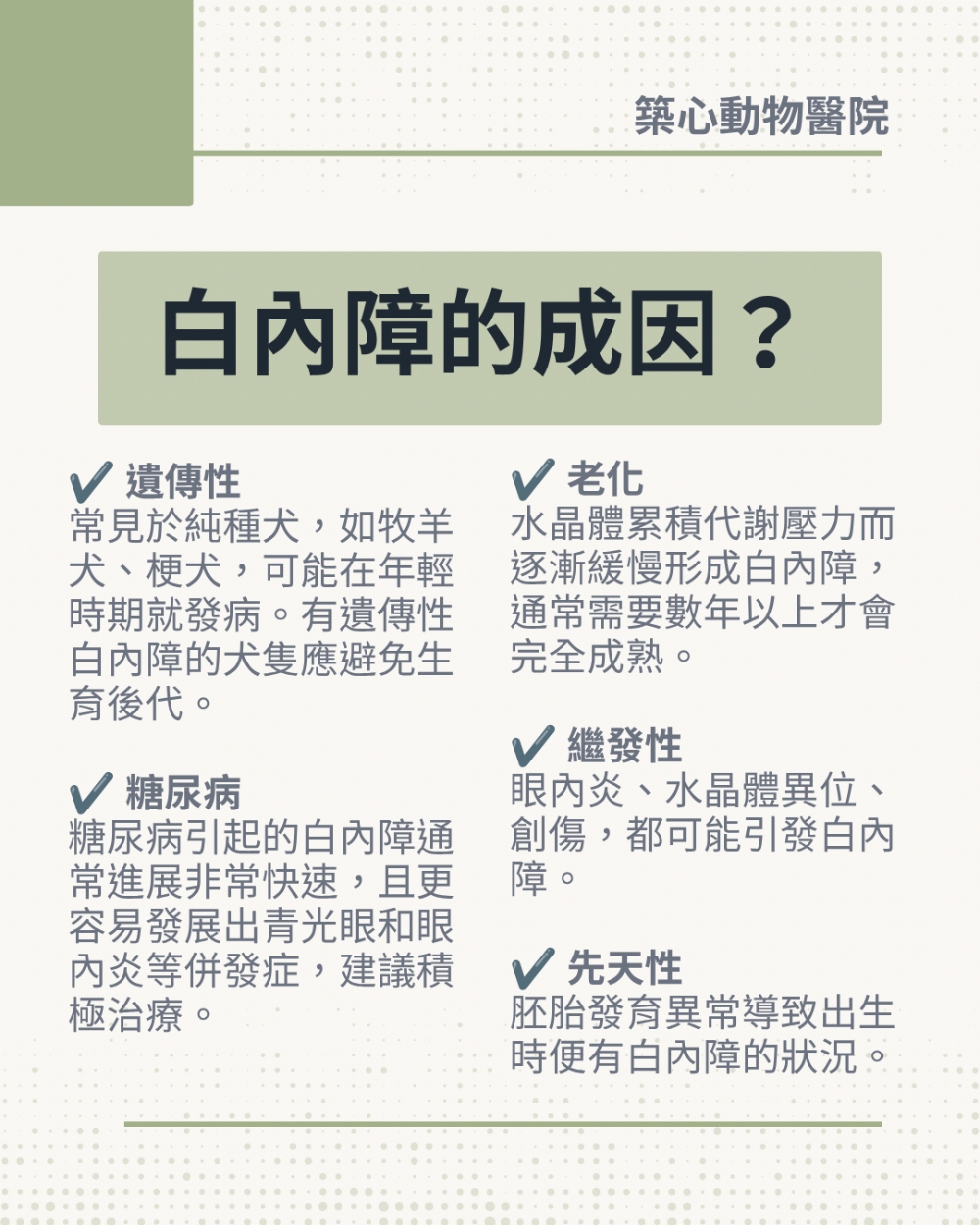 【毛孩眼睛霧濛濛?認識犬貓白內障】🐶🐱👀