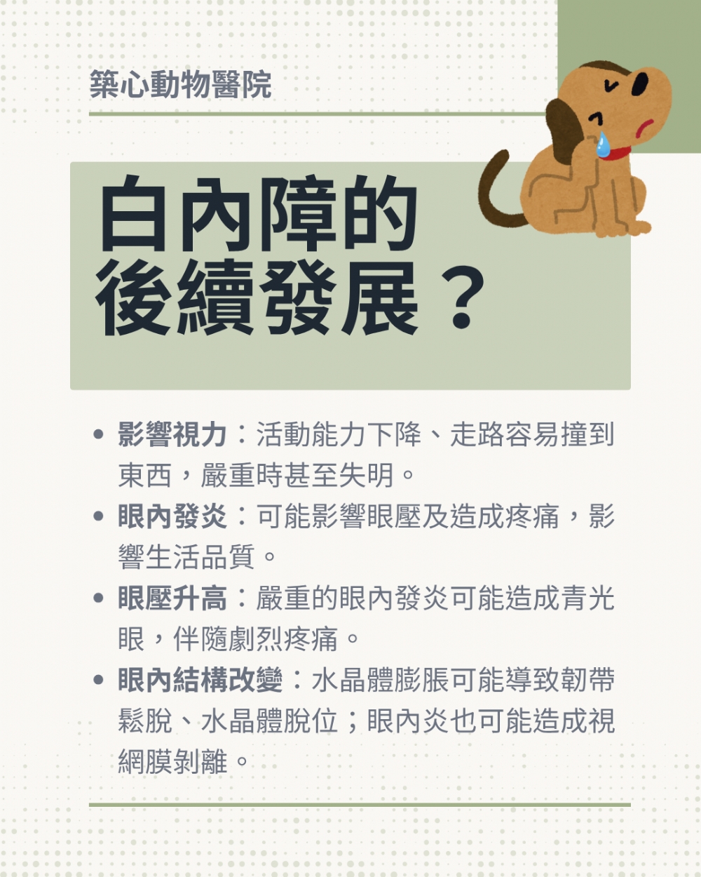【毛孩眼睛霧濛濛?認識犬貓白內障】🐶🐱👀