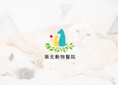 狗狗胰臟炎併發膽管阻塞-經皮抽取膽汁